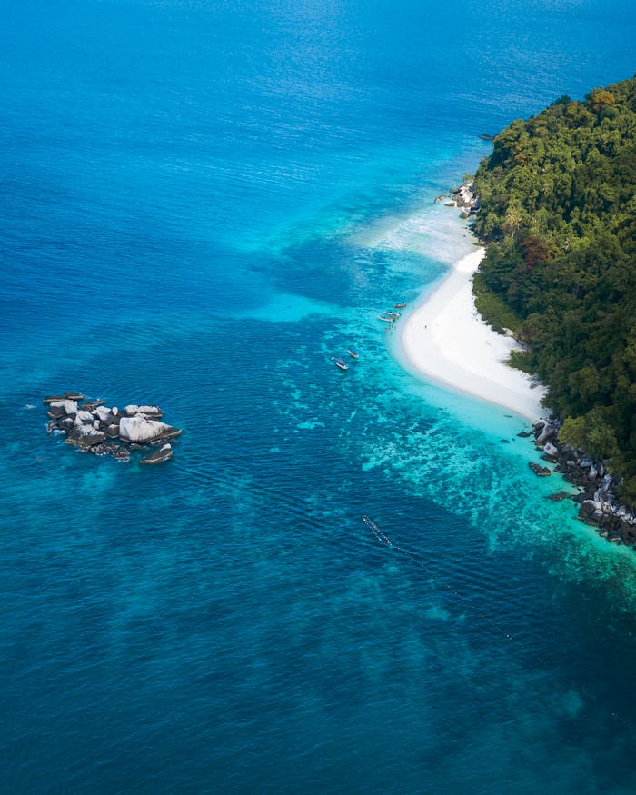 services-04 Out at Sea